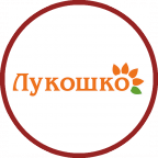 Введите ключевые слова для поискового продвижения